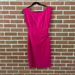 Diane Von Furstenburg Fuchsia Dress